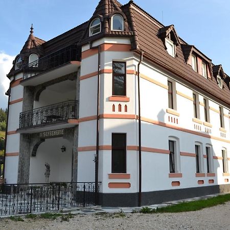 Castle Gate Hotel Bran  Zewnętrze zdjęcie
