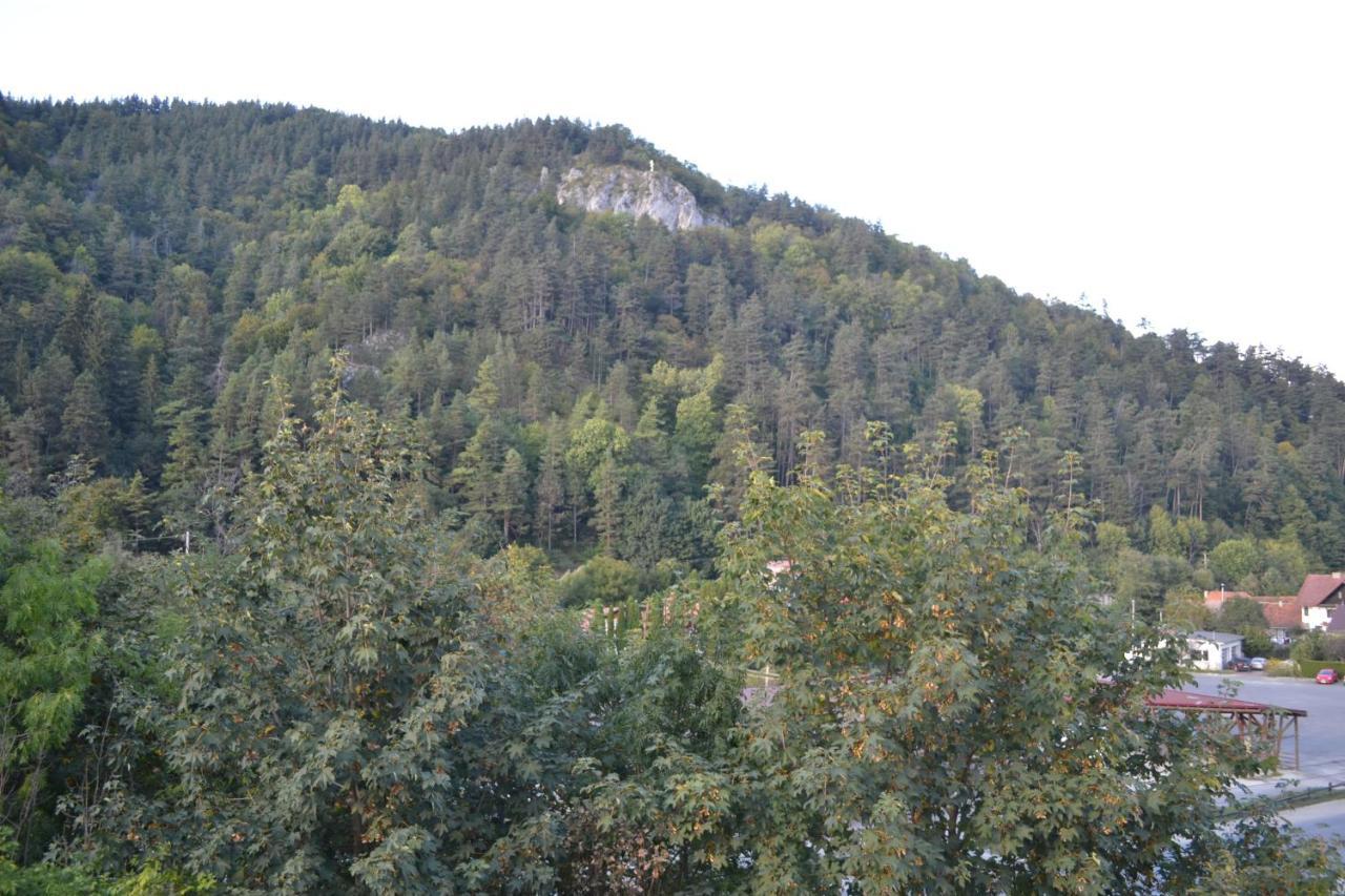 Castle Gate Hotel Bran  Zewnętrze zdjęcie