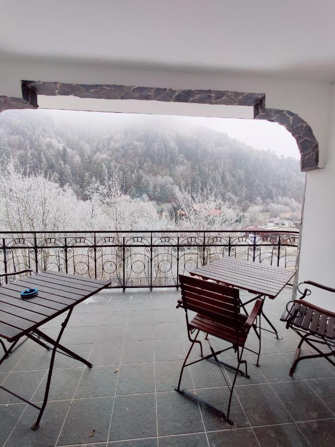 Castle Gate Hotel Bran  Zewnętrze zdjęcie